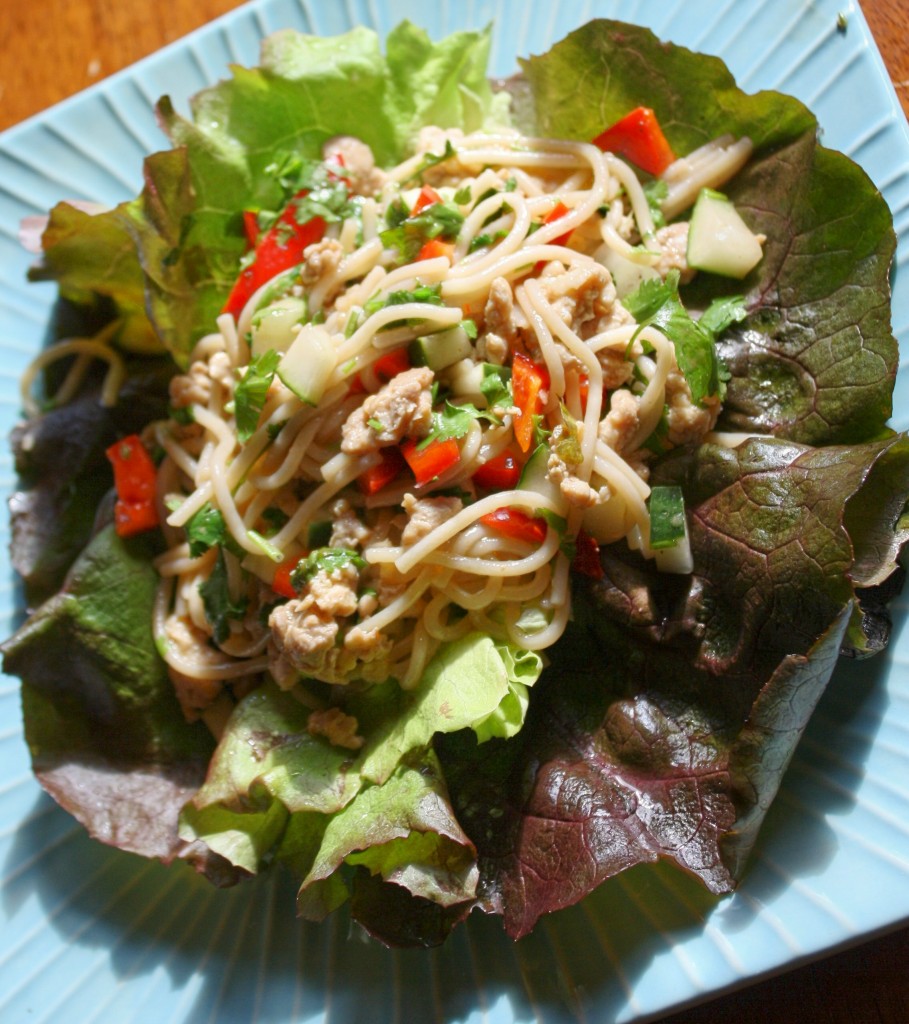 Asian Lettuce Wraps AllergyFriendly Tessa the Domestic Diva