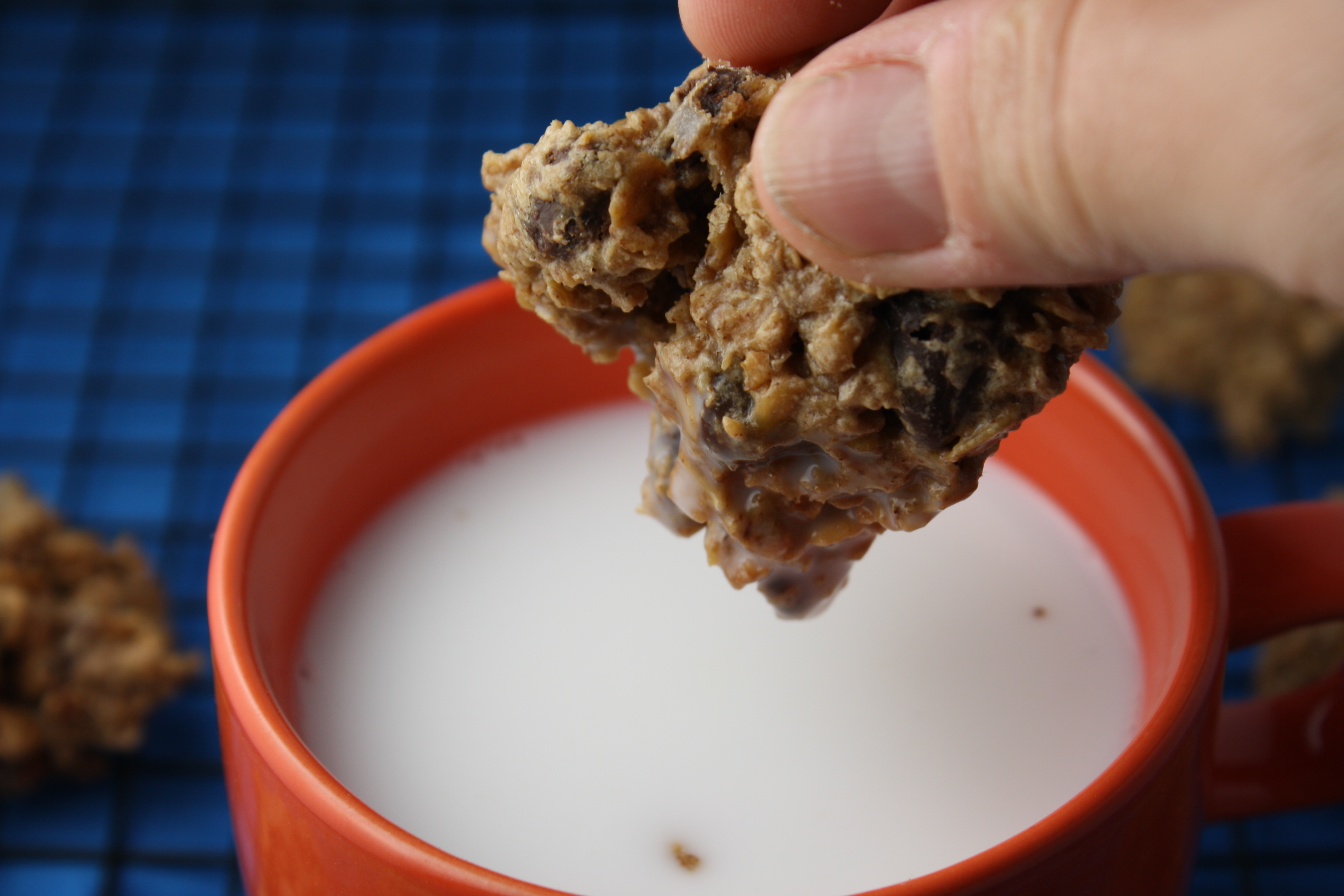 10 Days of Gluten Free Stocking Up & Healthy Oatmeal Snack Cookies