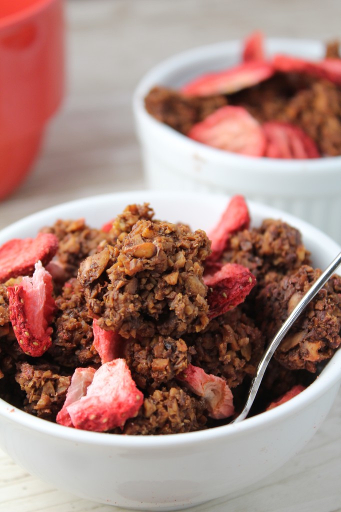 Paleo Dark chocolate Granola