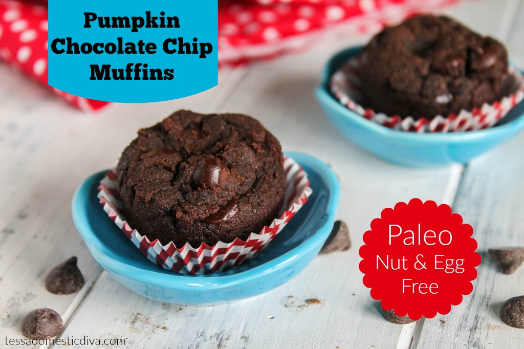 Paleo Pumpkin Chocolate Muffins Egg & Nut Free