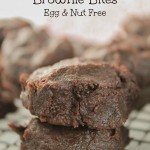 Paleo Brownie Bites - Nut & Egg Free-7422