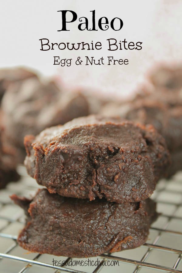 Paleo Brownie Bites - Nut & Egg Free-7422