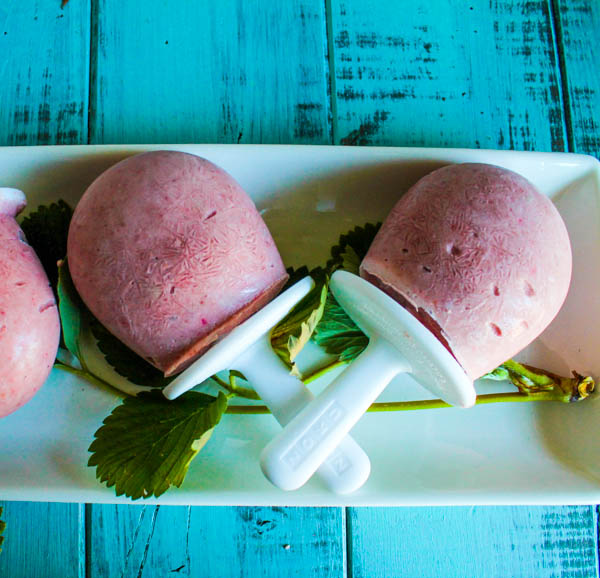 Paleo Stawberries & Cream Popsicles - Dairy Free & EASY!-7840