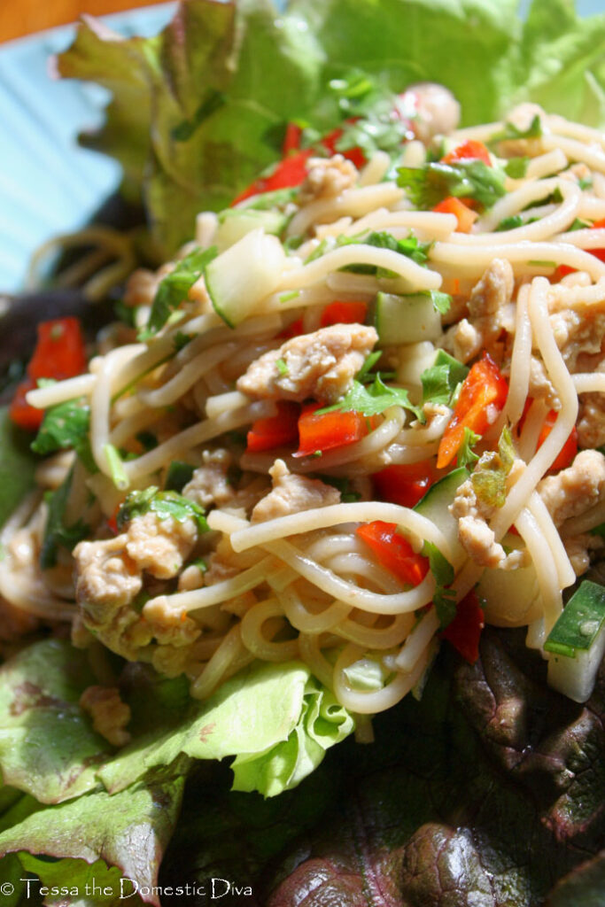 spaghetti noodles with fresh red peppers, cucumbers, ground chicken, and cilantro atop a lettuce leaf