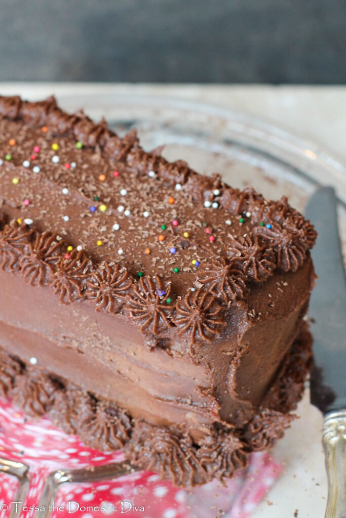 a rectangle layer cake with chocolate frosting and rainbow sprinkles.