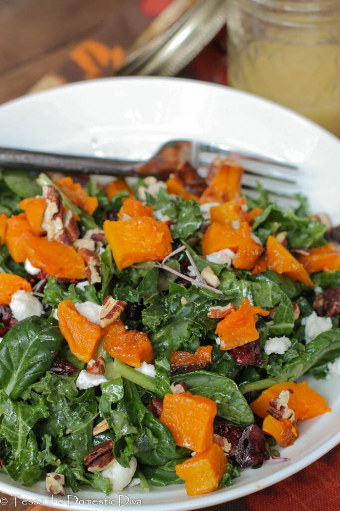 a bowl with rubbed kale salad riboons topped with squash cubes and cranberries.