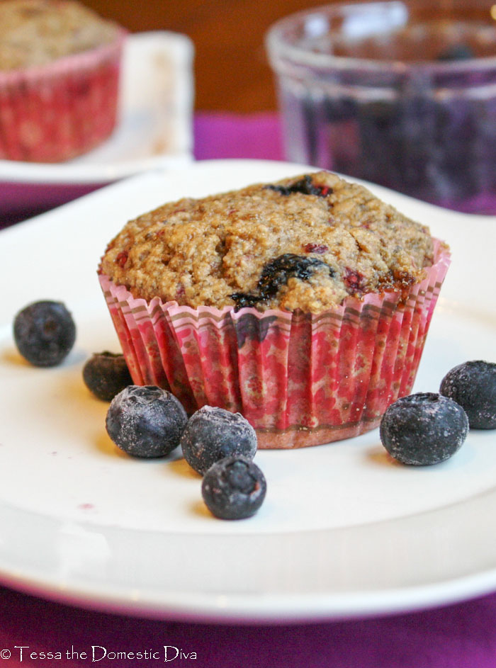 healthy blueberry muffin on a white plate with scattered fresh blueberries 