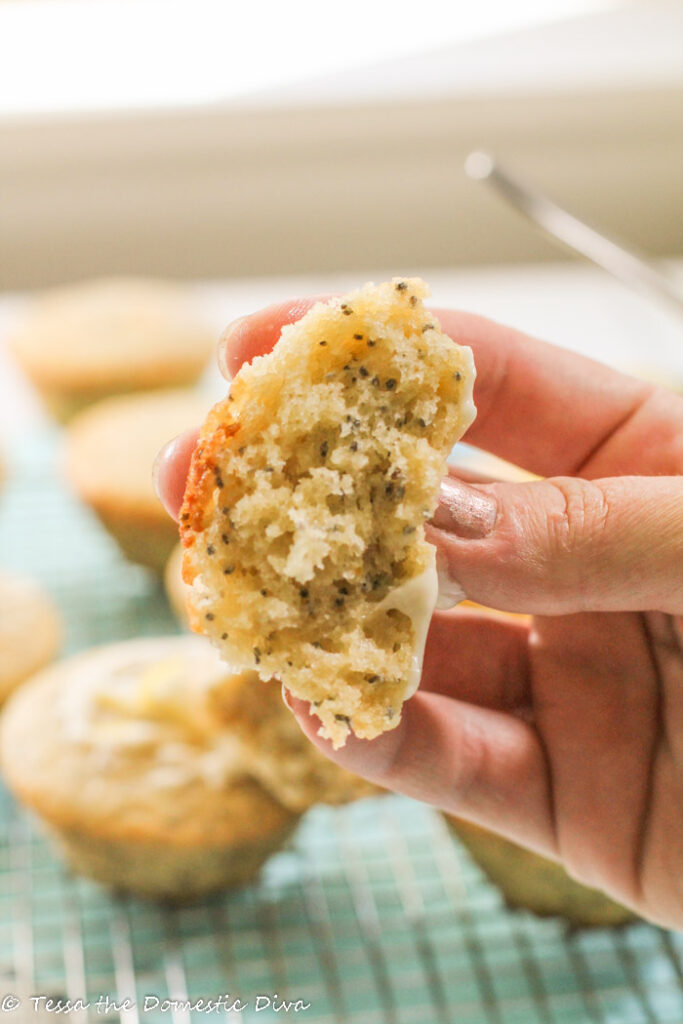 a torn piece of a a lemon poppy seed muffin closeup to show texture