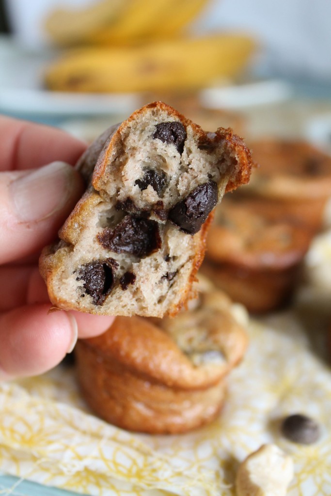 close up of handheld halved 5 minute paleo muffin laced with chocolate chips