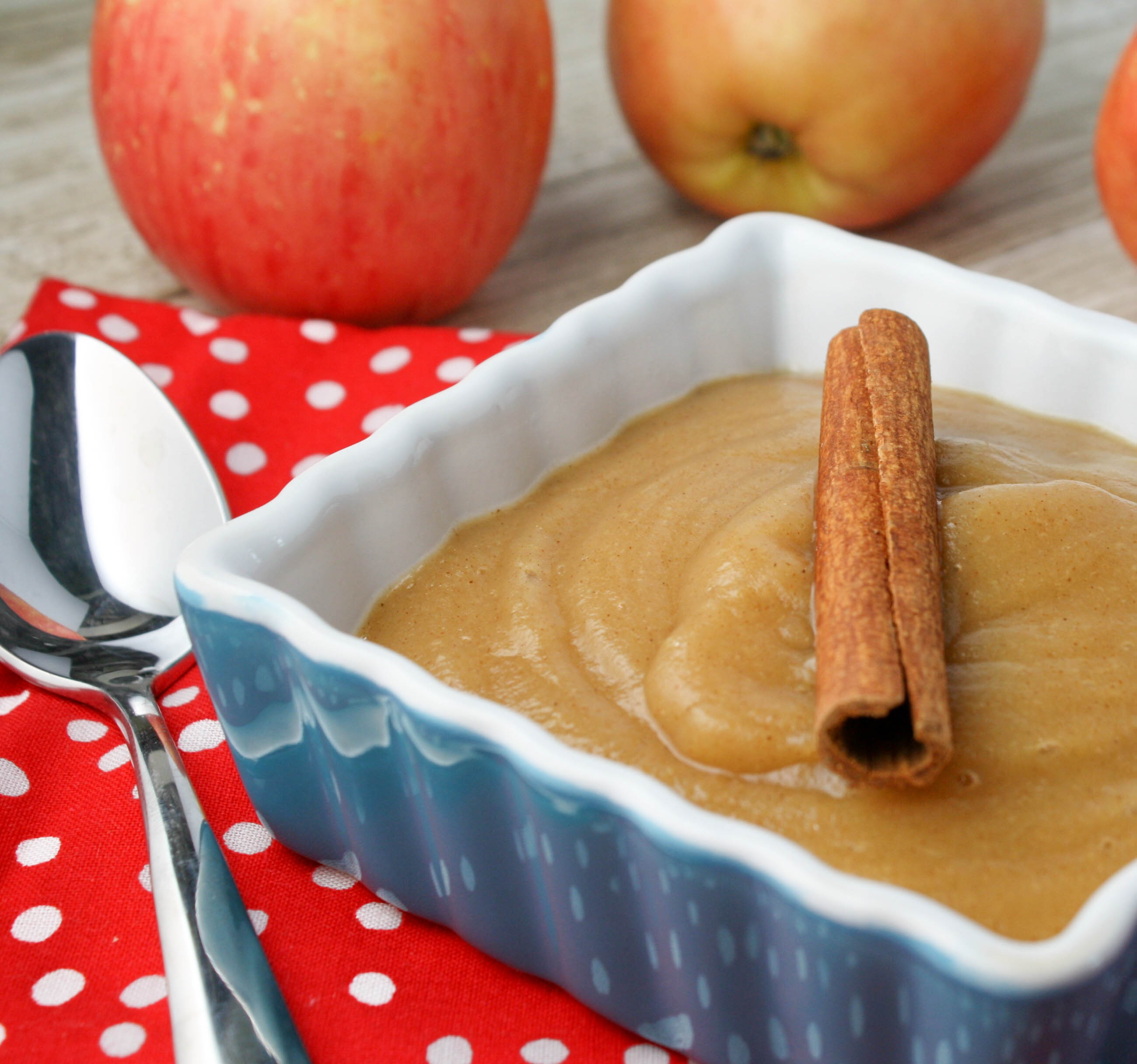 Applesauce WITH Peels Blender Recipe Tessa the Domestic Diva