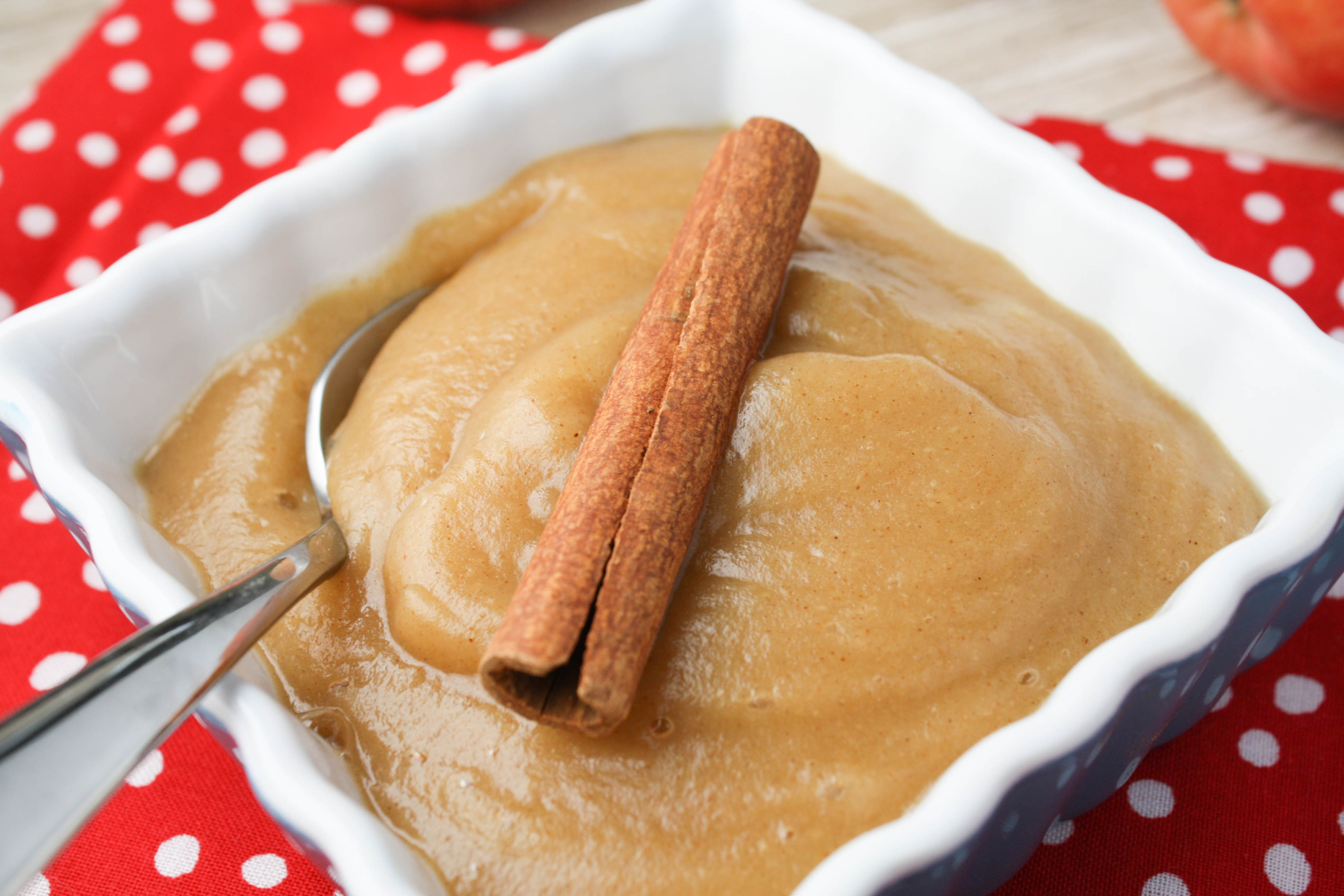 Applesauce WITH Peels Blender Recipe Tessa the Domestic Diva