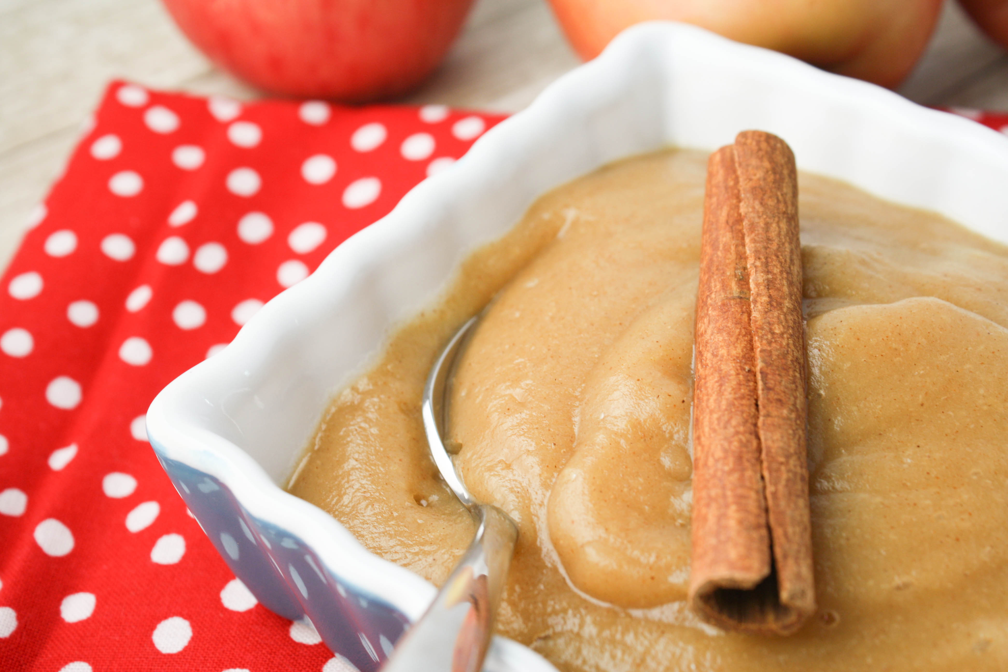 Applesauce WITH Peels Blender Recipe Tessa the Domestic Diva