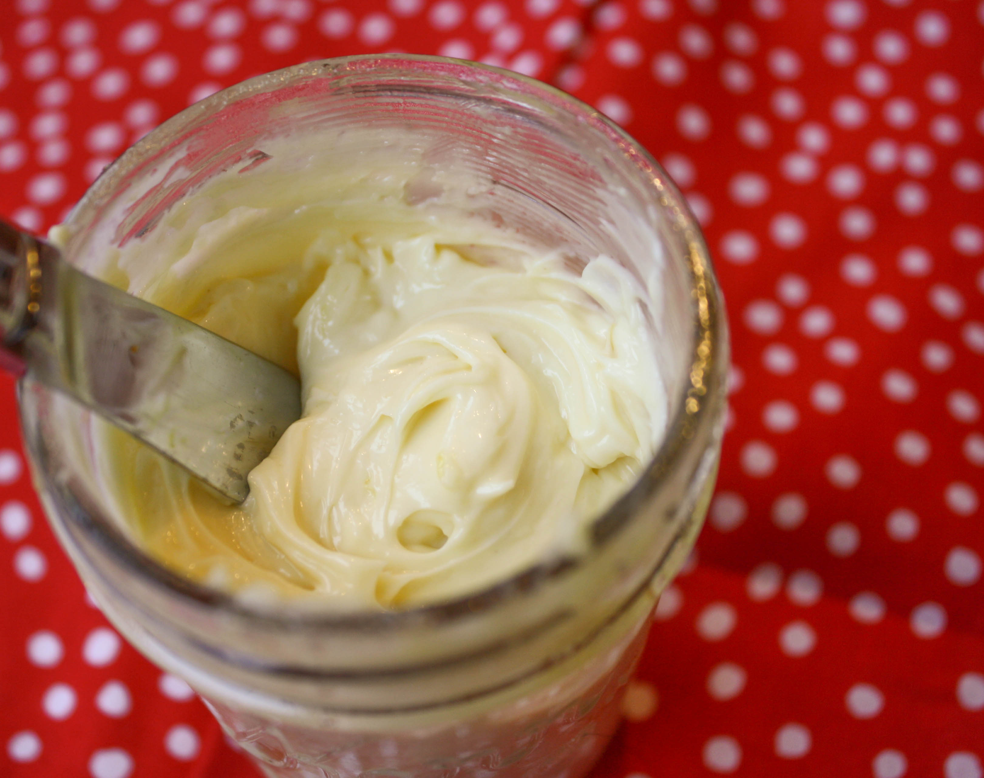 Paleo 5 Minute Homemade Mayo - Tessa the Domestic Diva