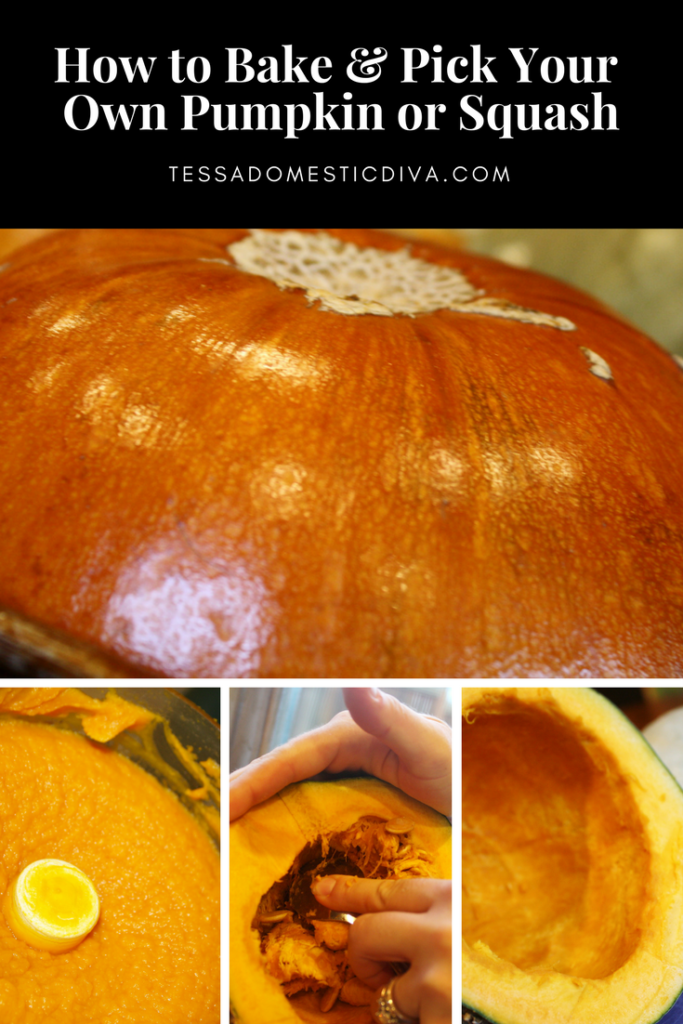 pinterest ready collage of baking pumpkin steps