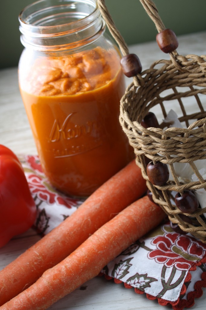 Homemade Tomato Sauce Blender Tessa the Domestic Diva