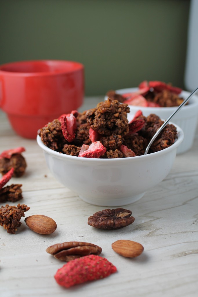 eye level show of two white bowls filled with chocolate nut granola with freeze dried berries