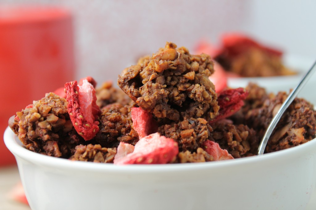 eye level close up of a single white bowl with crunchy bits of chocolate granola and freeze dried raspberries