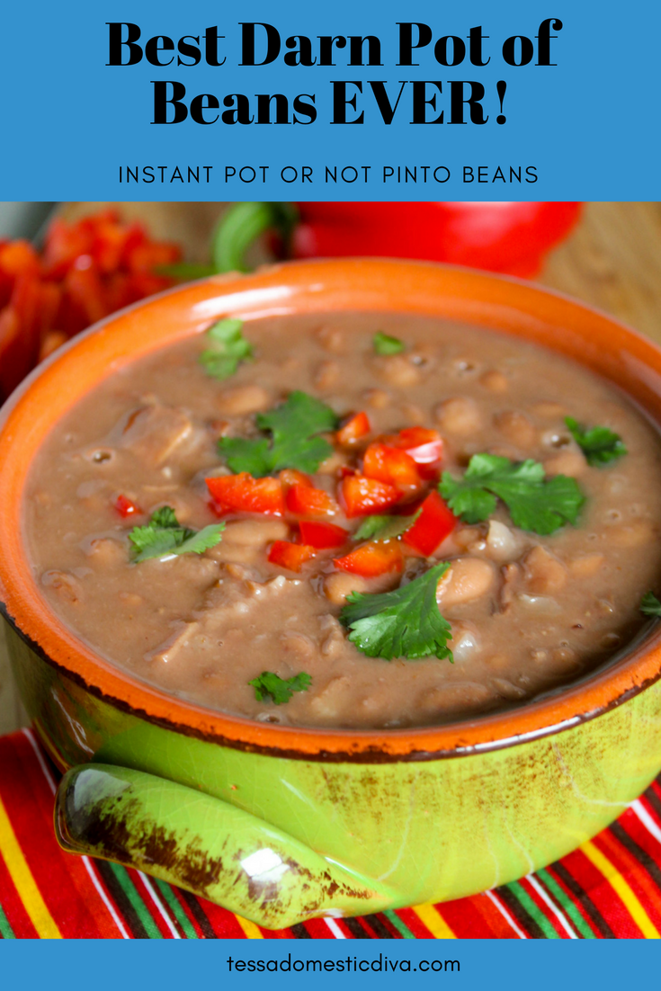 Instant Pot Pinto Beans