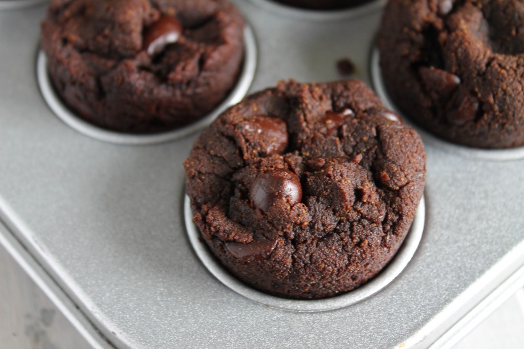 over head shot of chocolate chip studded chocolate muffins in a metal min muffin tin