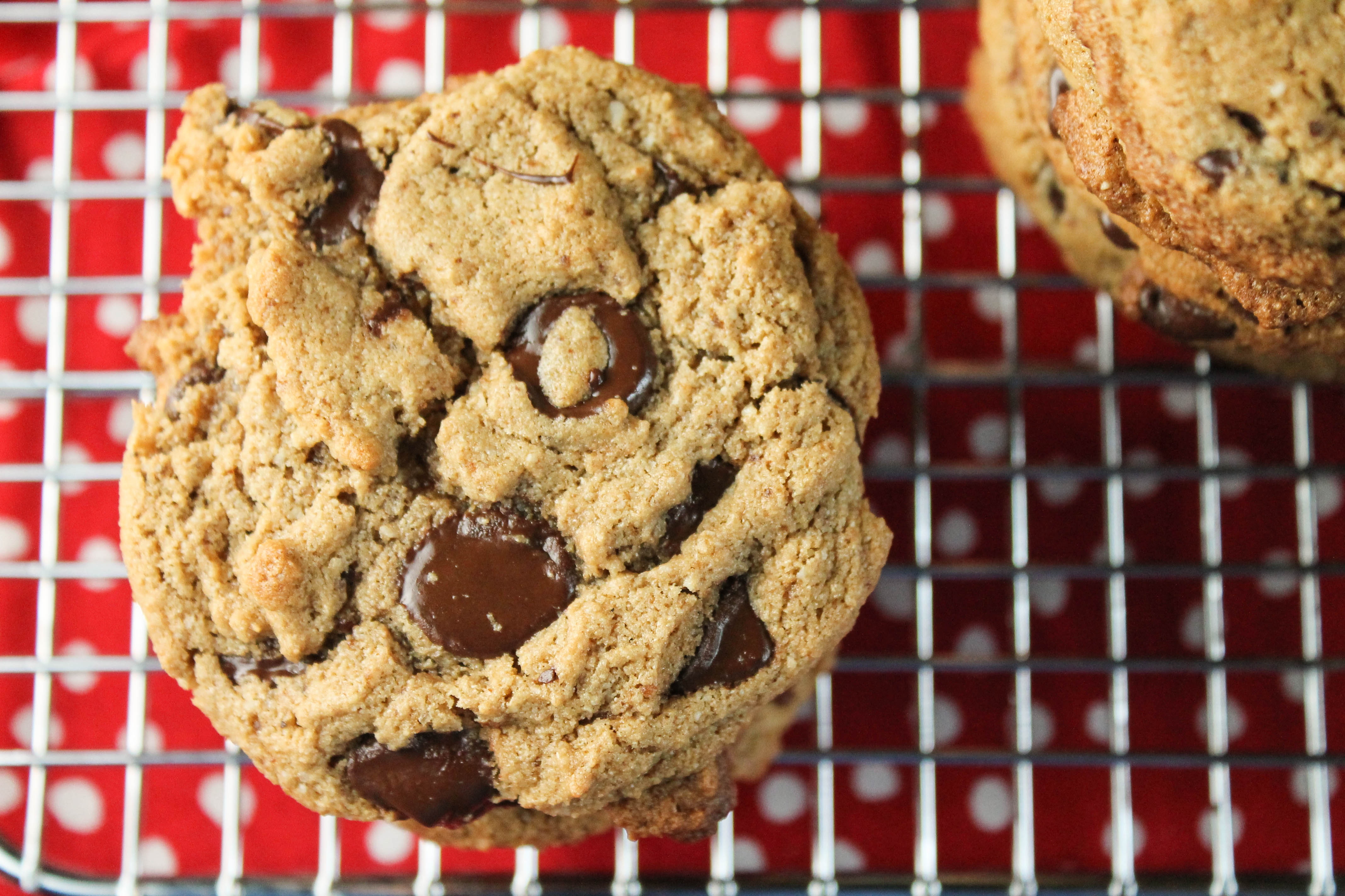 paleo chocolate chip cookie with chewy texture on a metal cooling rack and red with white polka dot background