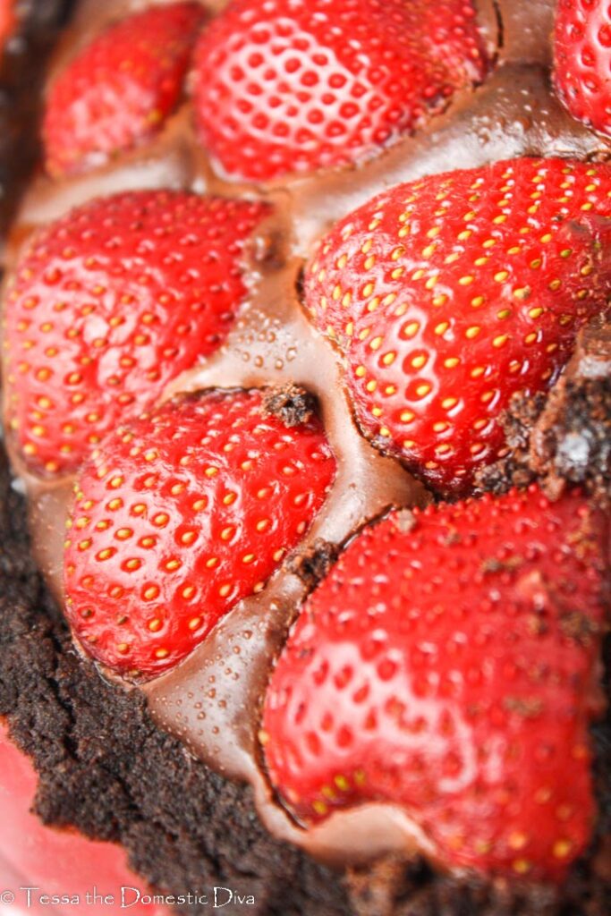 close up of fresh starwberries pressed into a a chocolate ganache in a cookie crust