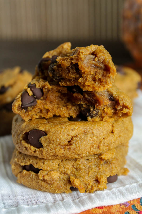 chocolate chip studded pumpkin cookies in a stack with top cookie torn in half for dense and chewy texture view