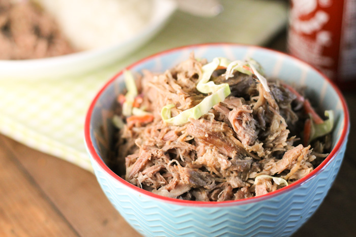 tender pulled pork in a turquosie and red lined bowl on a dark wooden surface