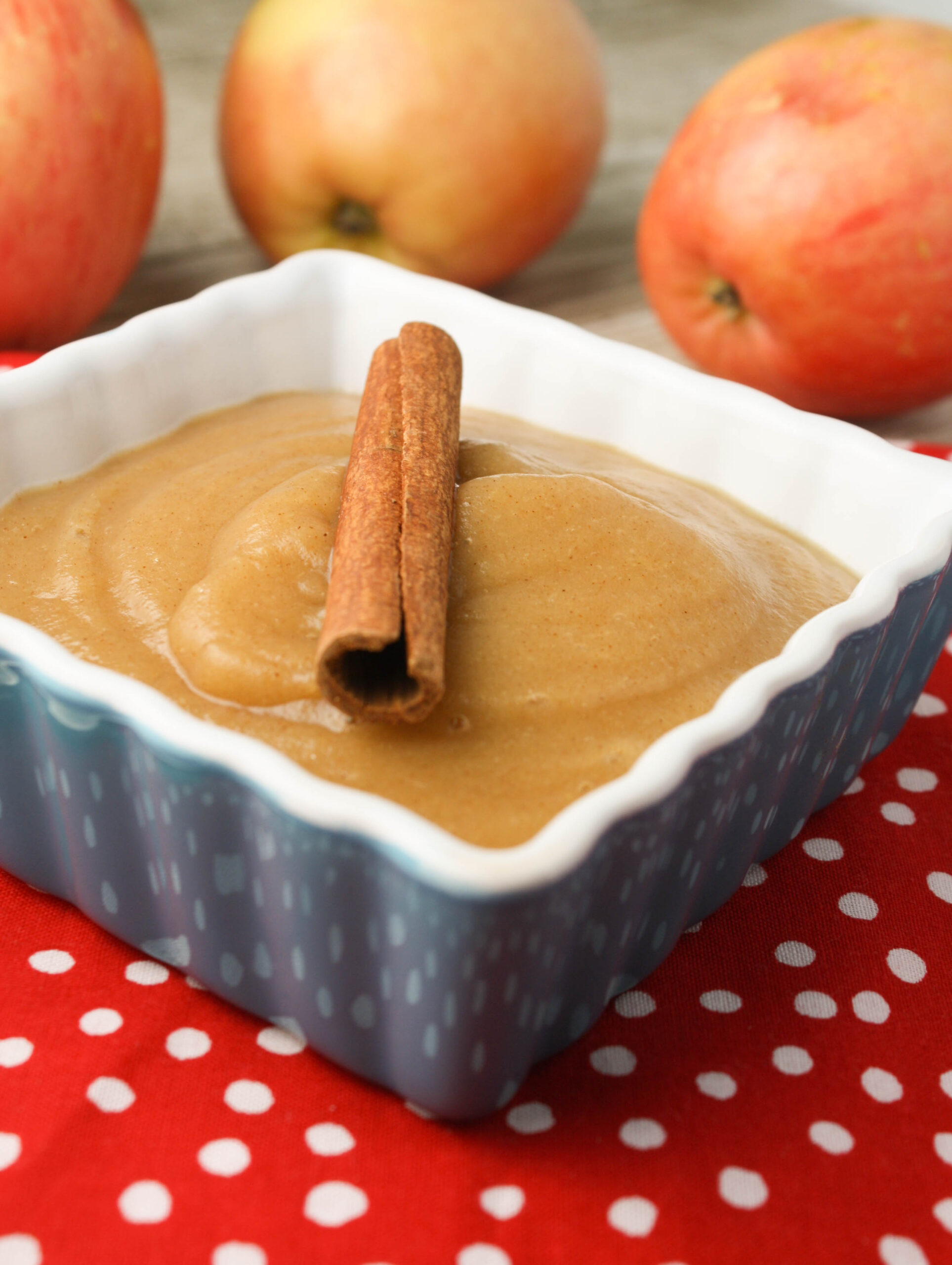 Applesauce WITH Peels Blender Recipe Tessa the Domestic Diva