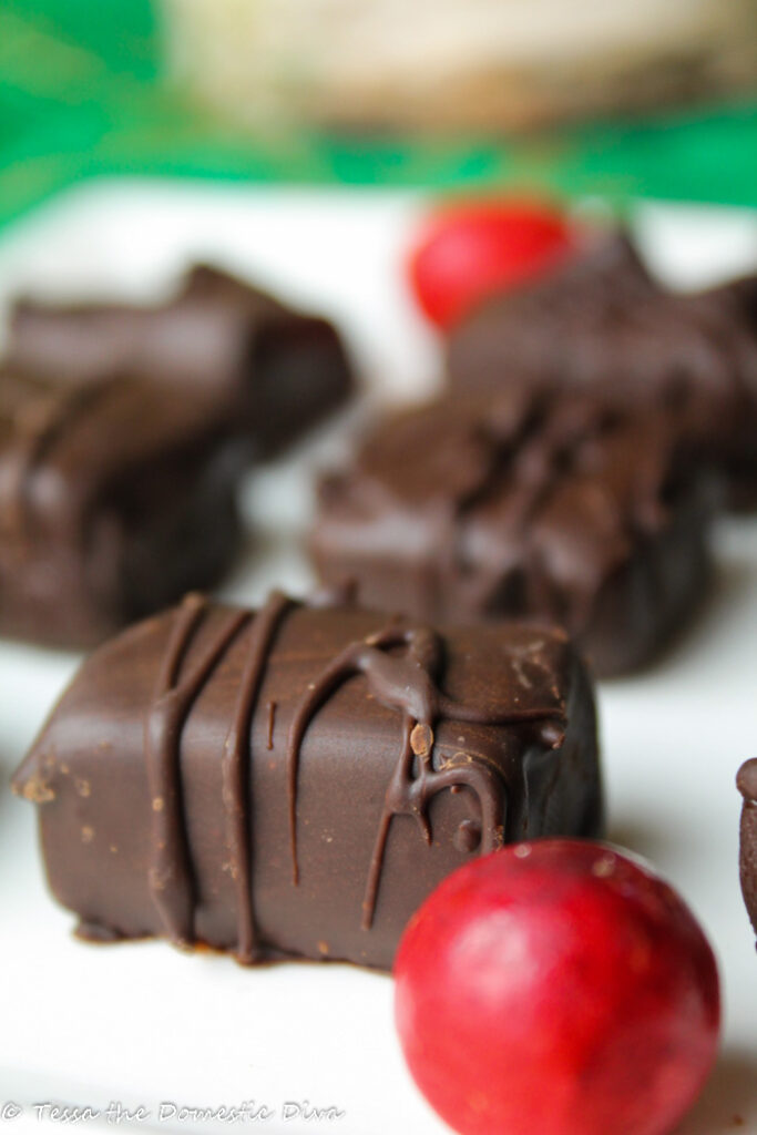 a rectangular chocolate mint truffle drizzled with a ribbon of dark chocolate and a fresh cranberry accent