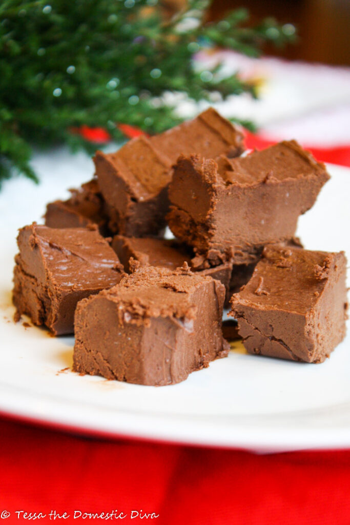 several rectangular squares of fudge on a white plate with evergreen boughs in the background